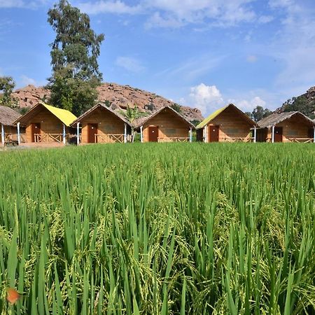 Dream Mango Hampi Hotel Ngoại thất bức ảnh